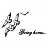 Going Home